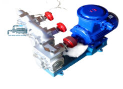 Bơm bánh răng cách nhiệt bằng thép không gỉ loại BW